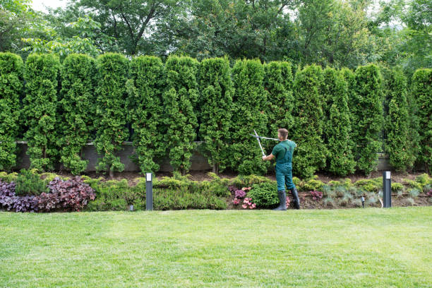 Louisa, KY Tree Services Company